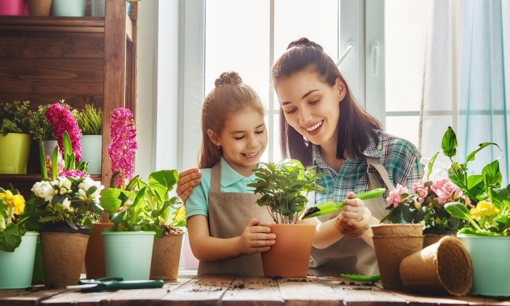 इंडोर प्लांट्स को कीड़ों से बचाने के लिए टिप्स Tips To Protect Indoor