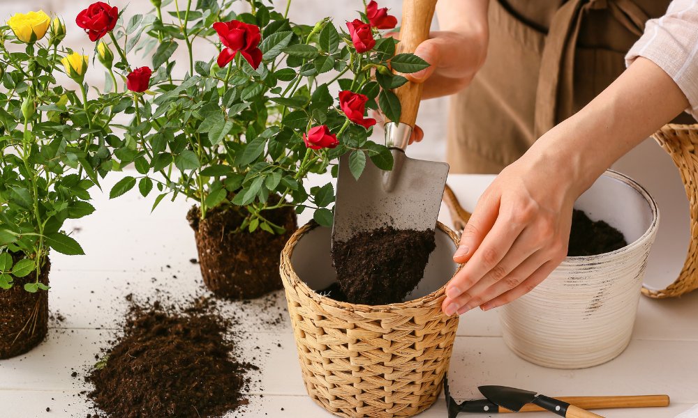 गार्डनिंग ट्रॉवेल के उपयोग की जानकारी Uses Of Gardening Hand Trowel