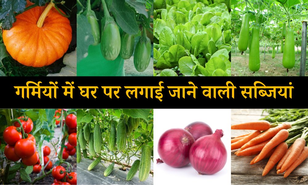 Summer Vegetables In India In Hindi