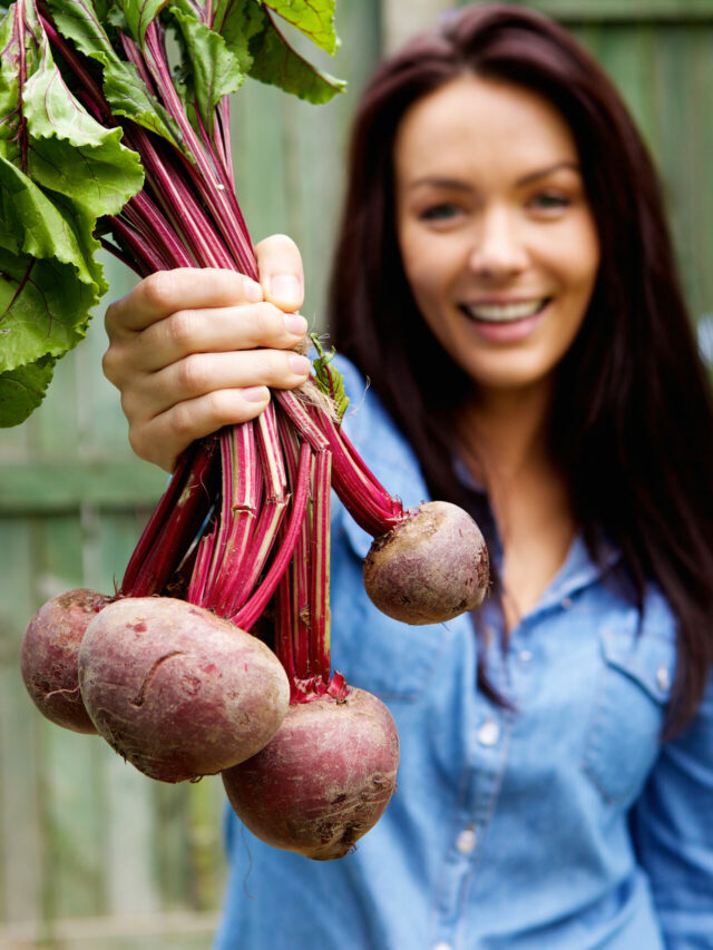 How To Grow Beetroot (Chukandar) At Home?