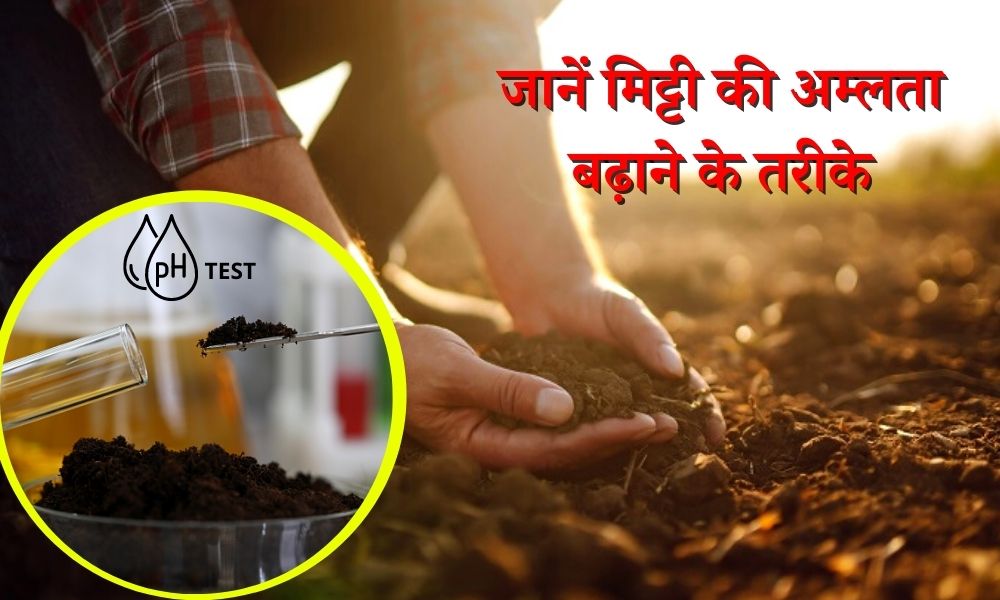 what-is-the-acidity-of-soil