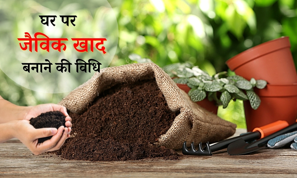 किचन वेस्ट से जैविक खाद बनाएं और फसल की पैदावार बढ़ाएं!! घर पर तैयार करें असरदार ऑर्गेनिक खाद