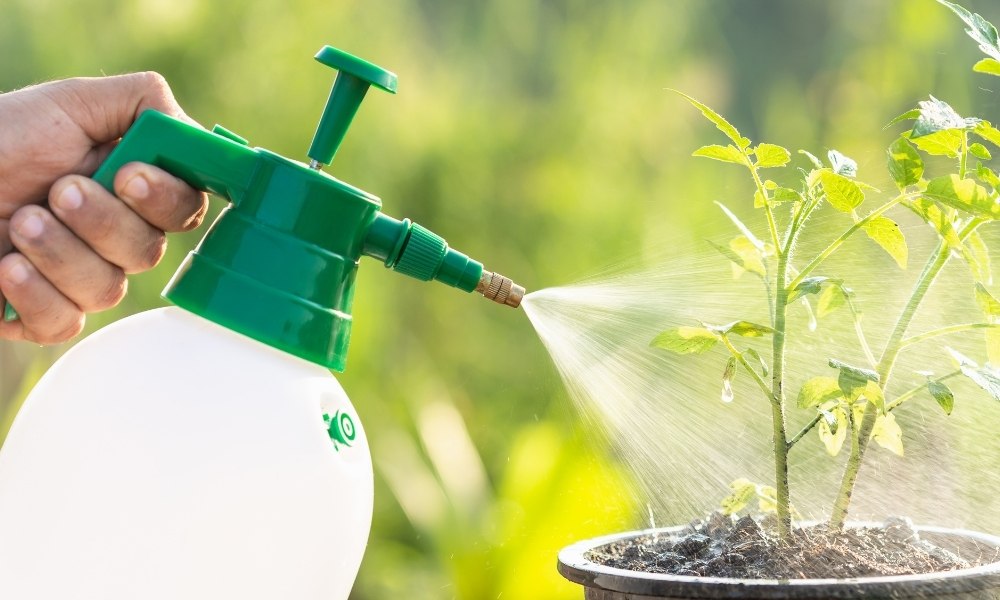 होम गार्डन में हाई प्रेशर स्प्रे पंप का उपयोग When And How To Use