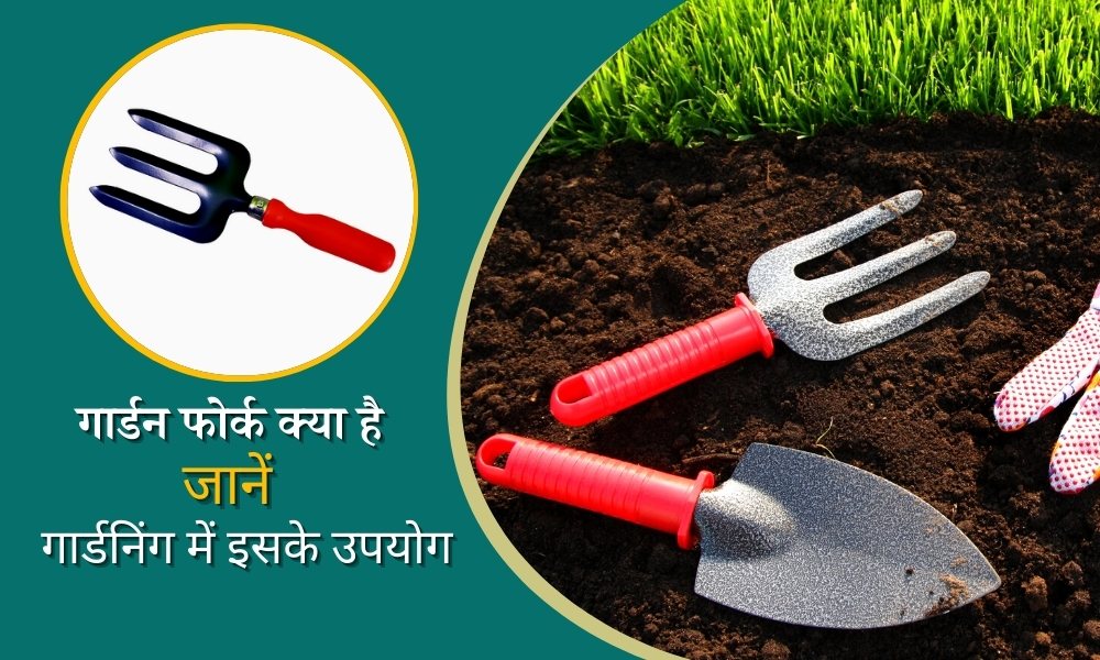 गार्डन फोर्क क्या है, जानें गार्डन में इसके उपयोग What Is Garden Fork, When And How To Use It