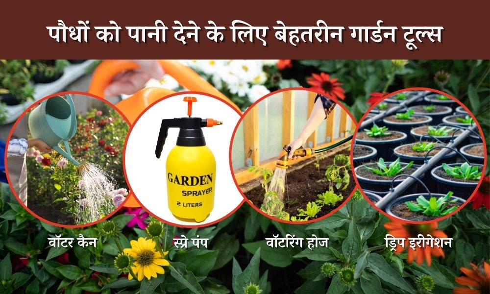 पौधों को पानी देने के लिए बेहतरीन गार्डन टूल्स Gardening Tools For