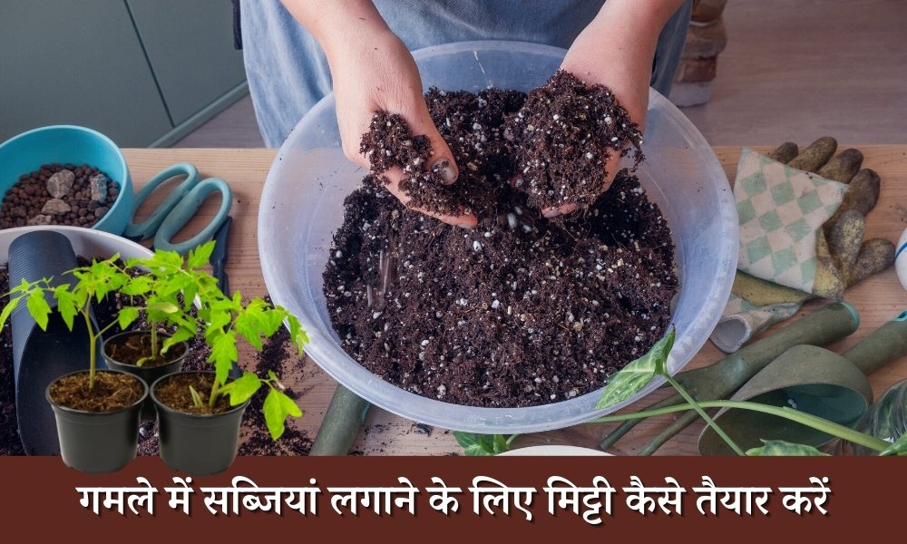 How To Prepare Soil For Planting Vegetables In Pots How To Prepare Soil For Planting Vegetables In Pots