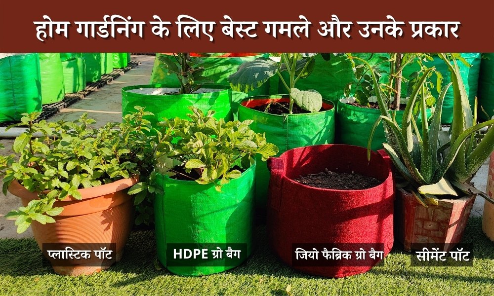 होम गार्डनिंग के लिए बेस्ट गमले और उनके प्रकार Best Pots And Their