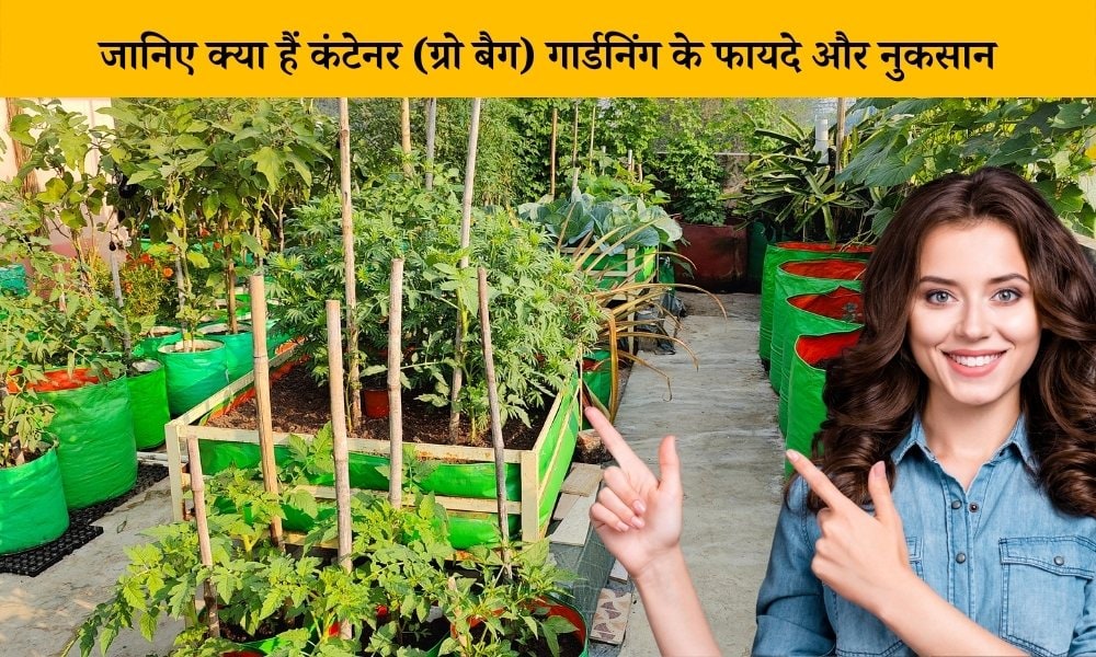 जानिए क्या हैं ग्रो बैग के फायदे और नुकसान Benefits And Disadvantages