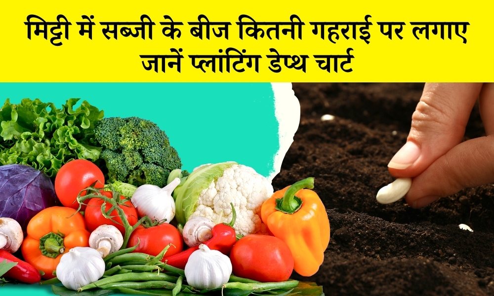 मिट्टी में सब्जी के बीज कितनी गहराई पर लगाए, जानें प्लांटिंग डेप्थ
