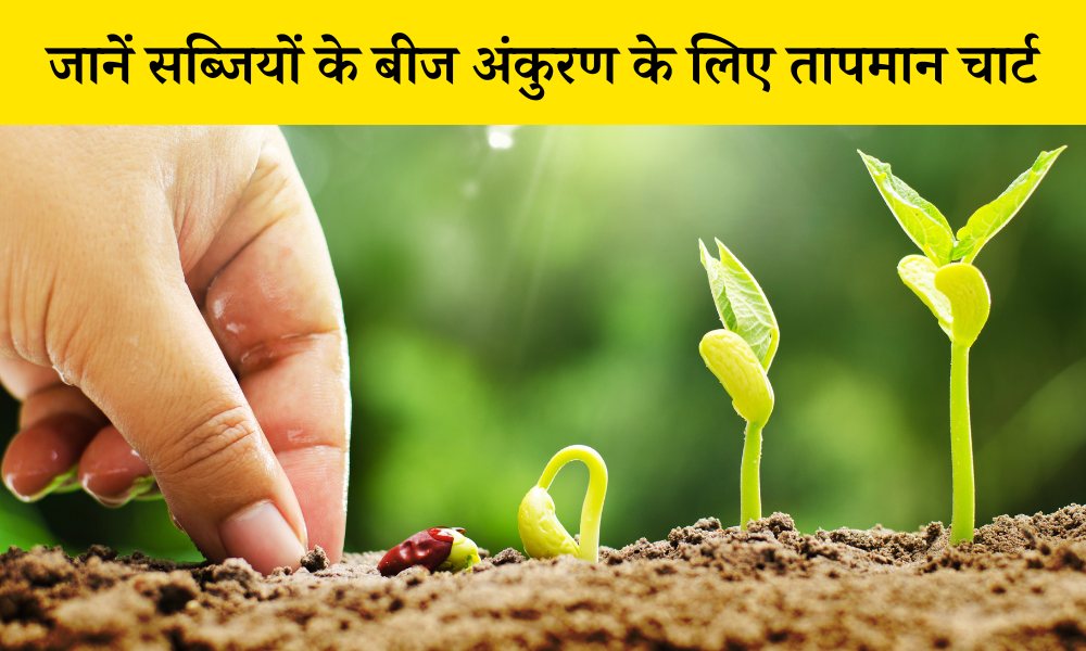 सब्जी के बीज अंकुरण के लिए तापमान कितना होना चाहिए, जानें तापमान चार्ट