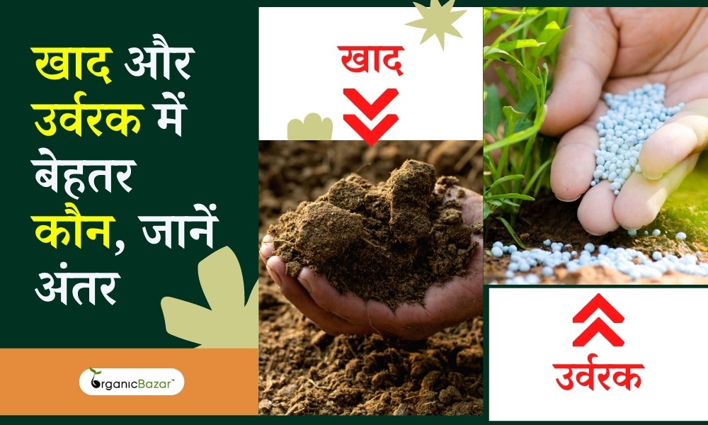 खाद और उर्वरक में क्या अंतर है? Difference Between Fertilizers And