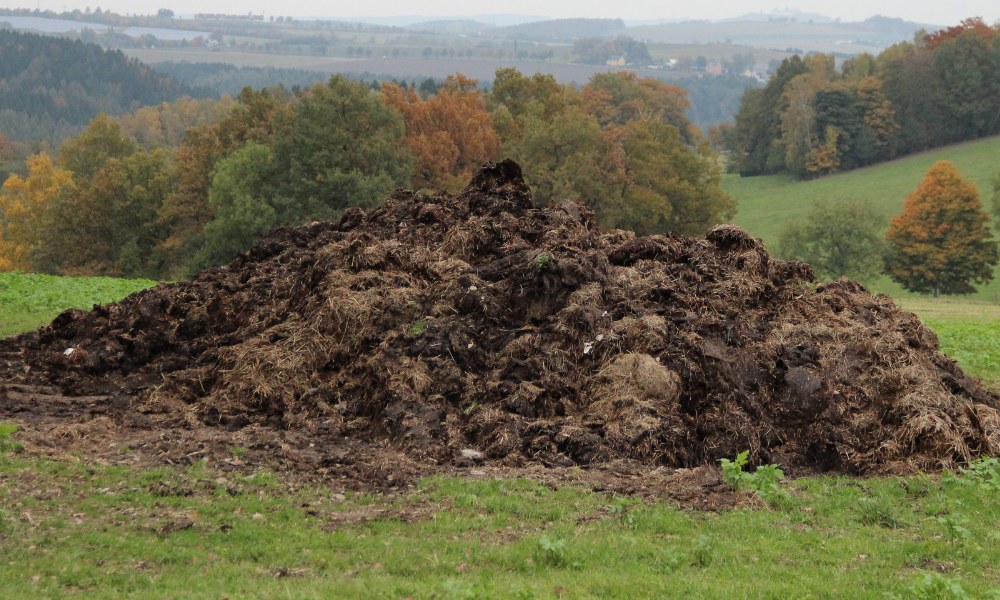 Manure Meaning In Hindi