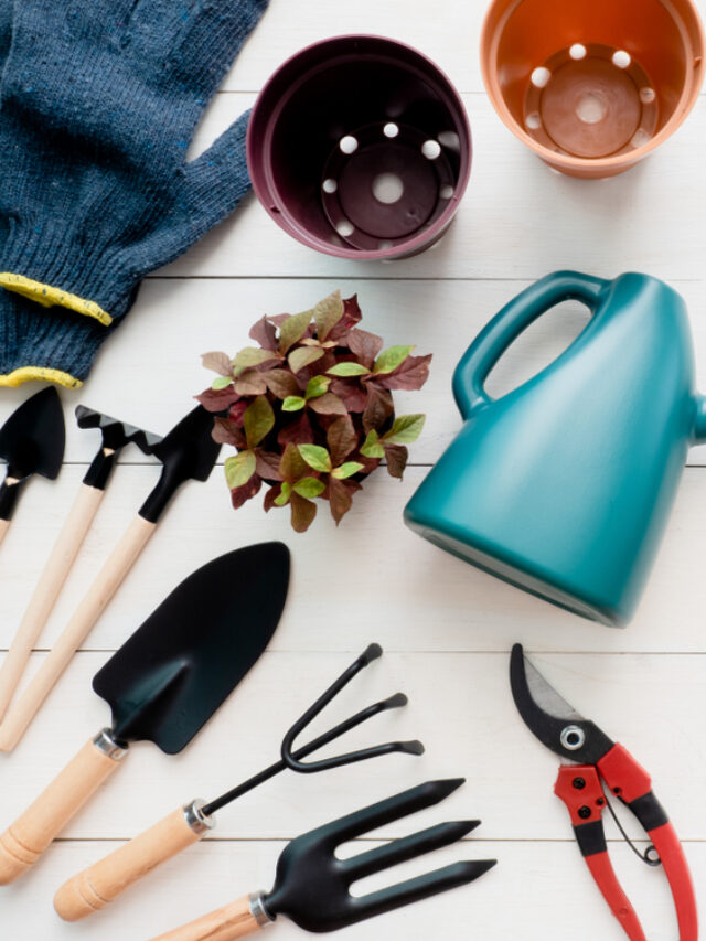 Best Home Gardening Tools and Their Uses! - Organicbazar Blog