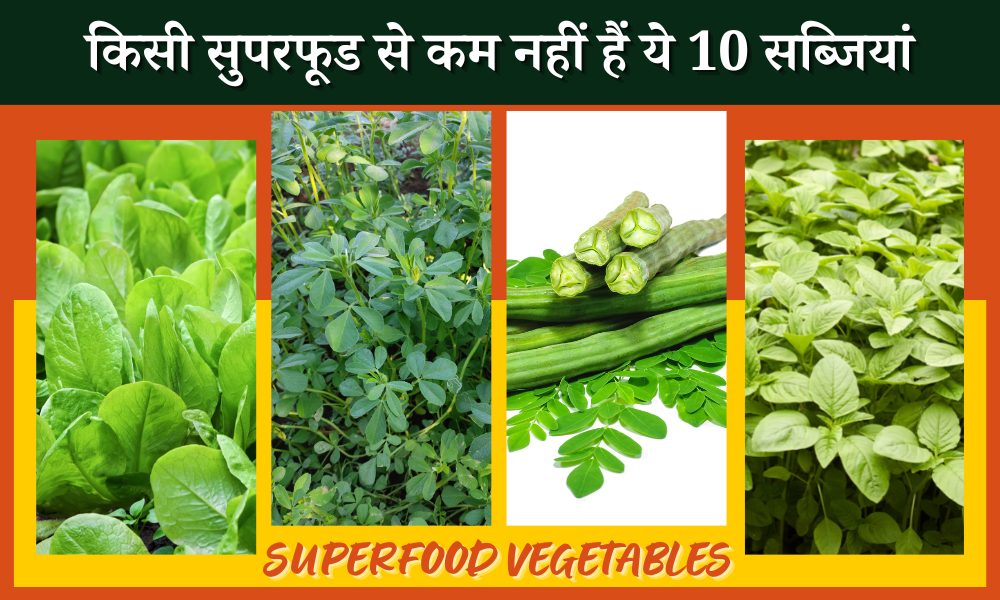 किसी सुपरफूड से कम नहीं हैं ये 10 साग या सब्जियां Grow These