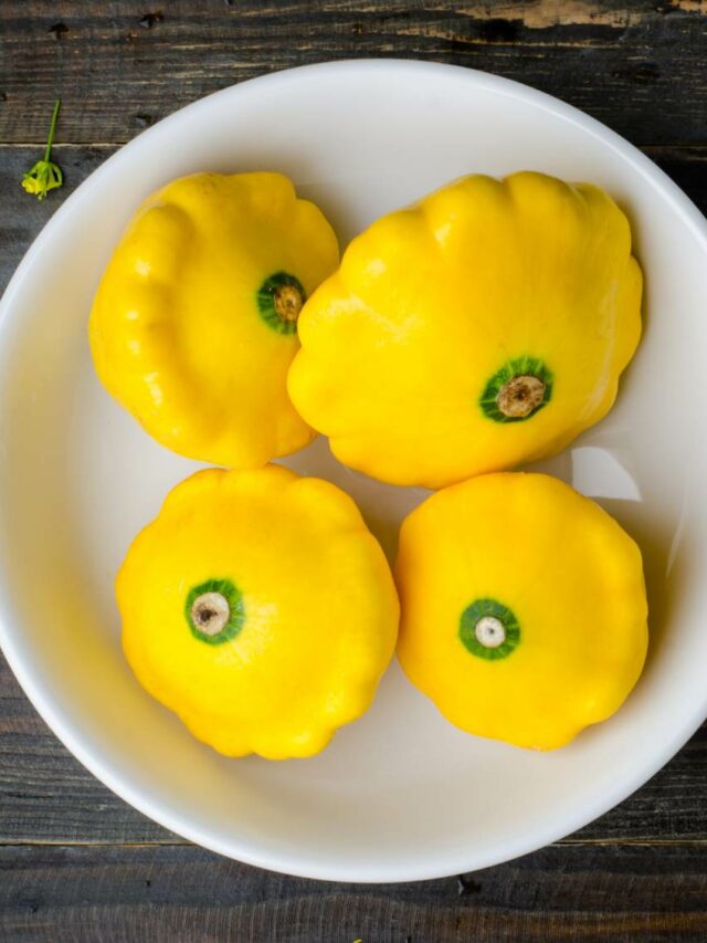How To Grow Patty pan Squash At Home? Organicbazar Blog