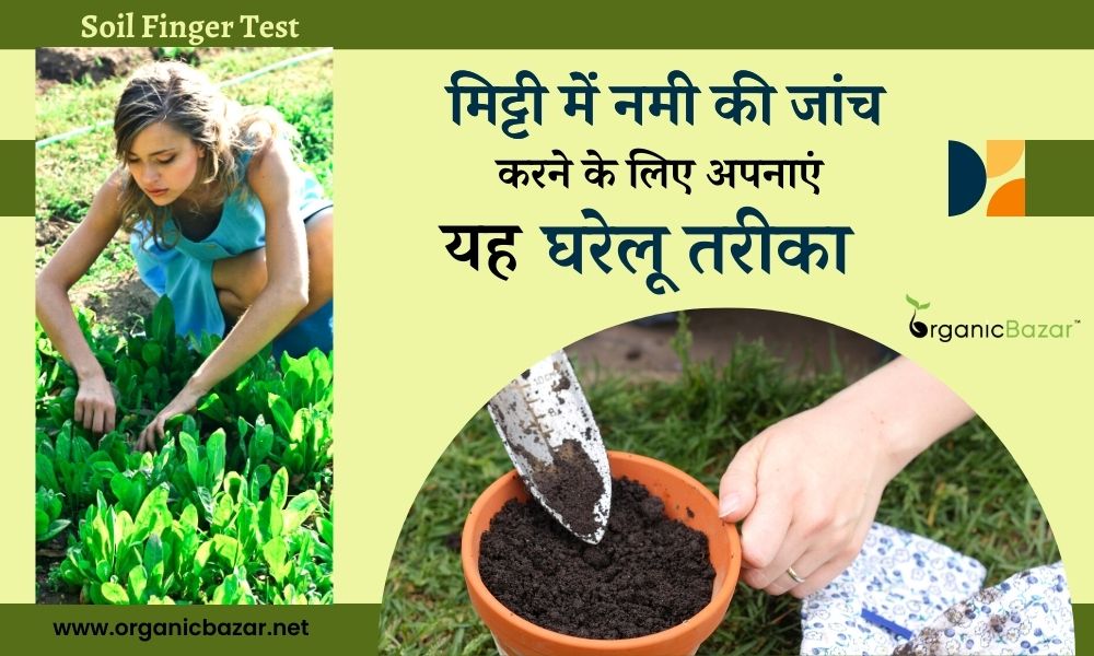 गमले की मिट्टी में नमी की जांच करने के घरेलू तरीके How To Test