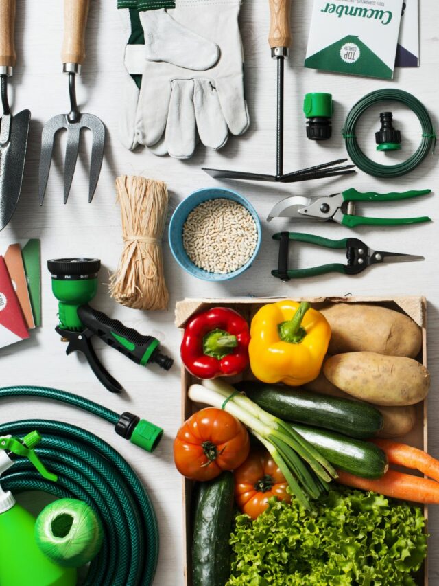 इन गार्डनिंग टूल्स का उपयोग करके बागवानी को आसान बनाएं! Make Gardening