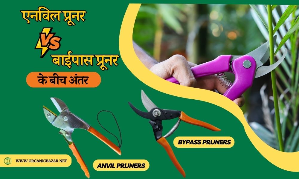 एनविल प्रूनर और बाईपास प्रूनर (सिकेटर) में क्या अंतर है Difference