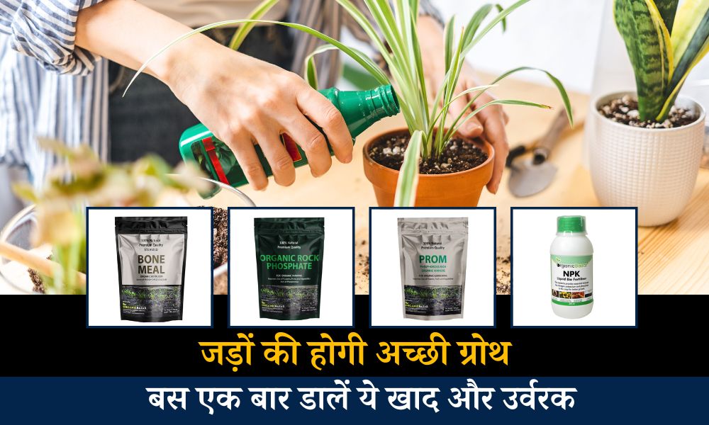 जड़ों की होगी अच्छी ग्रोथ, बस पौधों में डालें ये खाद और उर्वरक Best