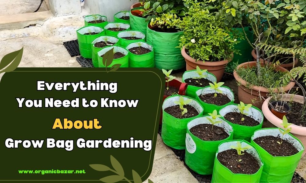 Benefits Of Gardening In Grow Bags! - Organicbazar Blog