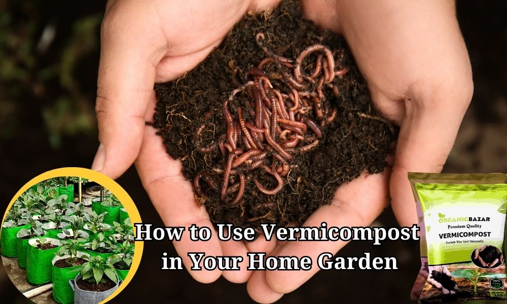 How to Use in Your Home Garden Organicbazar Blog