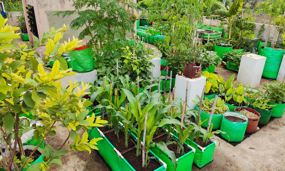 Using Grow Bags in the Garden (Advantages and Disadvantages) - Geeky  Greenhouse