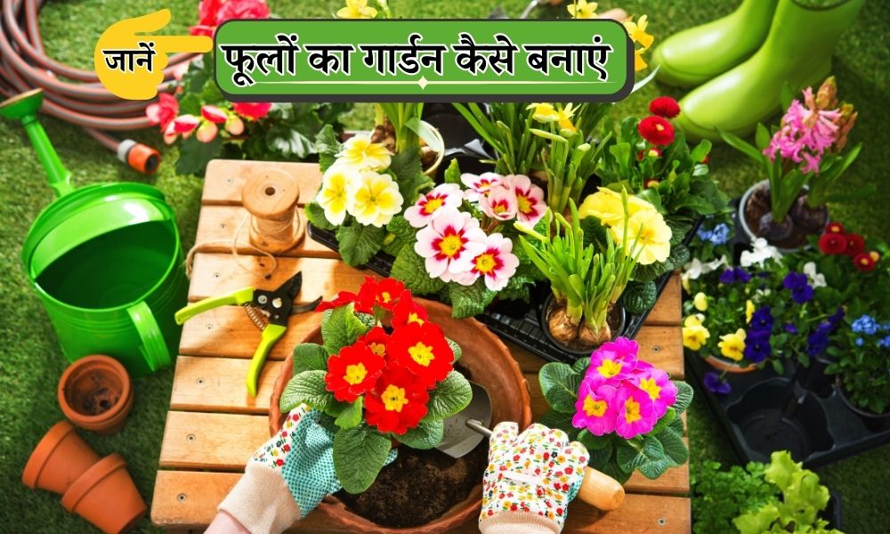 यदि पसंद आते हैं रंगबिरंगे फूल, तो अभी बनाएं अपना फूलों का गार्डन