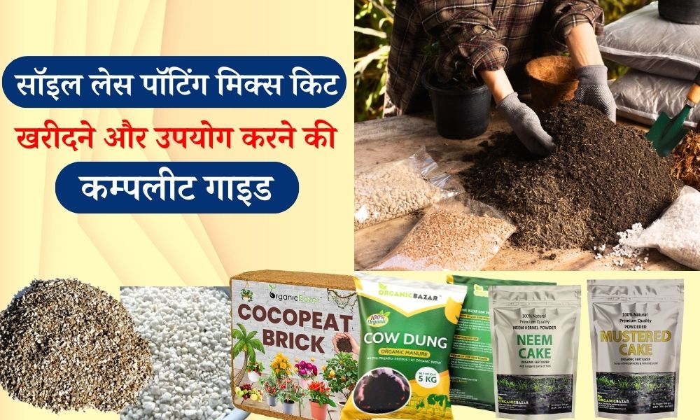 सॉइल लेस पॉटिंग मिक्स किट खरीदकर बनाएं एक हल्की मिट्टी DIY Soilless