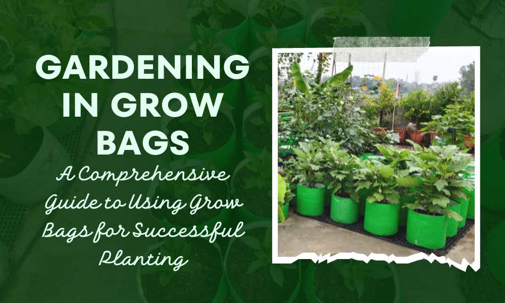 Amazon.com : Fabric Raised Garden Bed, Square Plant Grow Bags, Large  Durable Rectangular Reusable Breathe Cloth Planting Container for  Vegetable, 4 Grids Heavy Pot for Potato, Carrot, Onion, Flower : Patio, Lawn