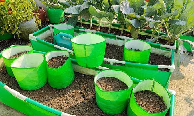 Buy Fabric Grow Bags - Durable and Convenient Fabric Pots for Plants — Lazy  Gardener - Online Gardening Store India