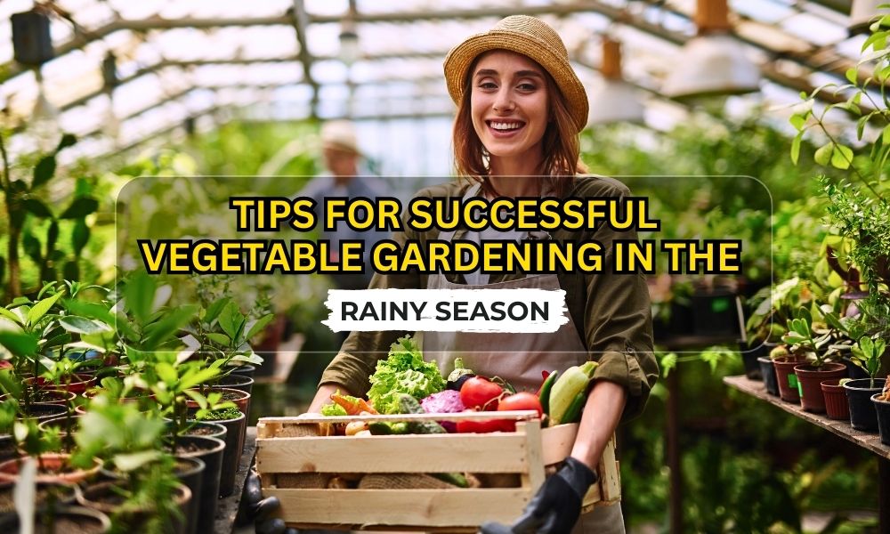 Gardening Tips During The Rainy Days – The Urban Gardening Shop