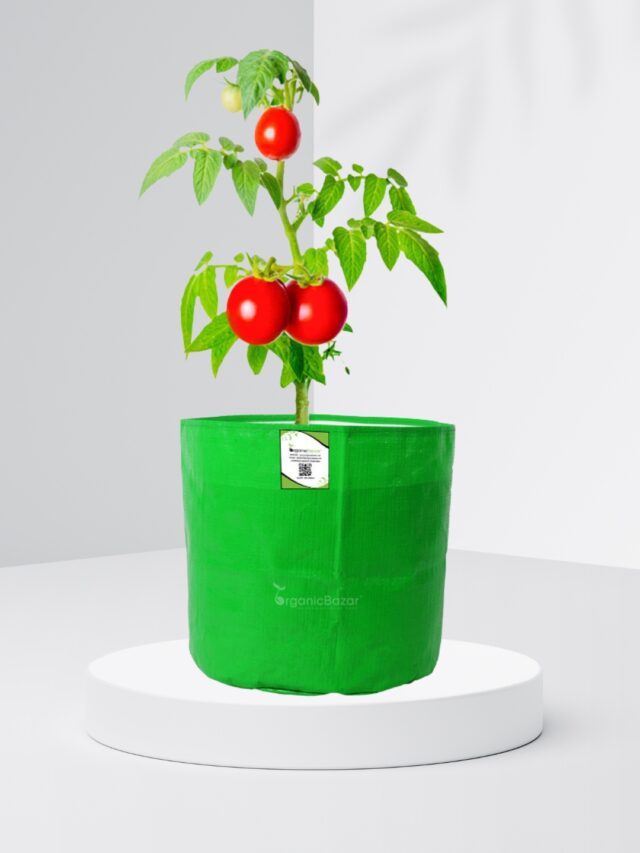 Why Grow Bags Are Used For Planting?