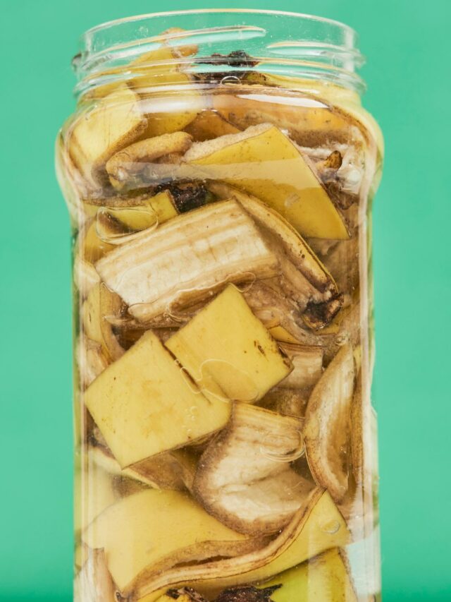 How to Use Banana Peels Water for Plants? Organicbazar Blog
