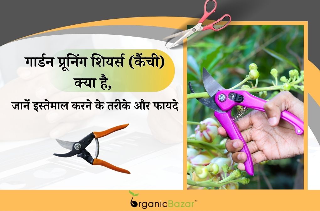 गार्डन प्रूनिंग शियर्स कैंची क्या है, इसके इस्तेमाल करने के फायदे