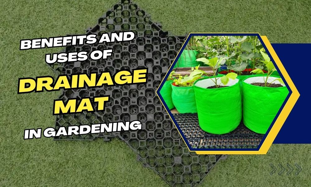 How To Use Drain Cell Mats Understand The Importance Of Drainage Mats