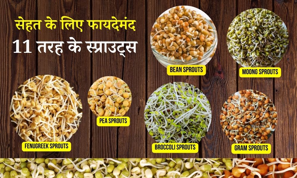 अपने घर पर ही उगाएं, यह 11 तरह के स्प्राउट्स Types Of Sprouts To Grow
