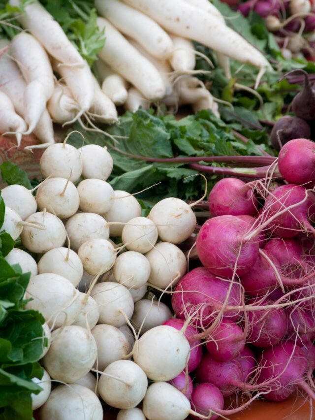 Top Root Vegetables to Grow in Pots! Organicbazar Blog