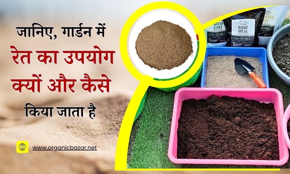 जानिए, गार्डन में रेत का उपयोग कैसे और क्यों किया जाता है Why And How