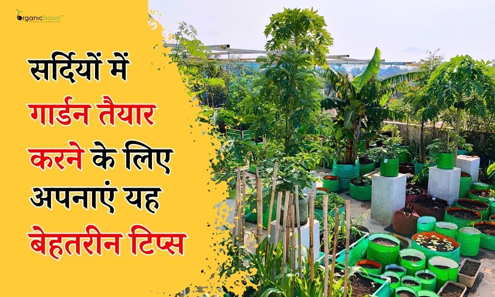 सर्दियों के लिए अच्छा गार्डन कैसे बनाएं, जानें टिप्स - Tips To Prepare