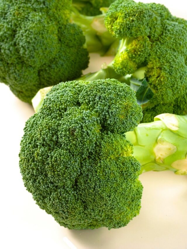 StepbyStep Guide to Growing Perfect Broccoli at Home! Organicbazar Blog