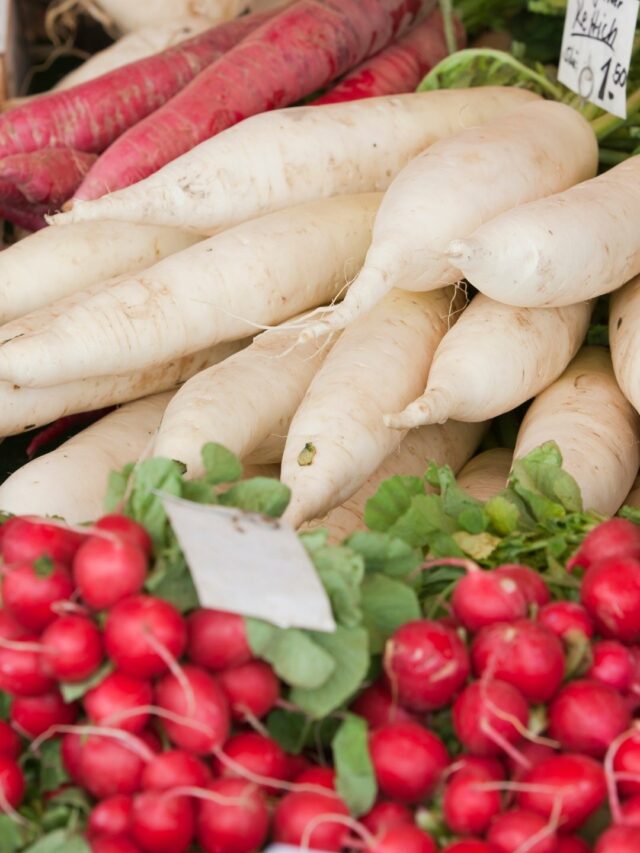 Types Of Radish To Grow In Winter In India!