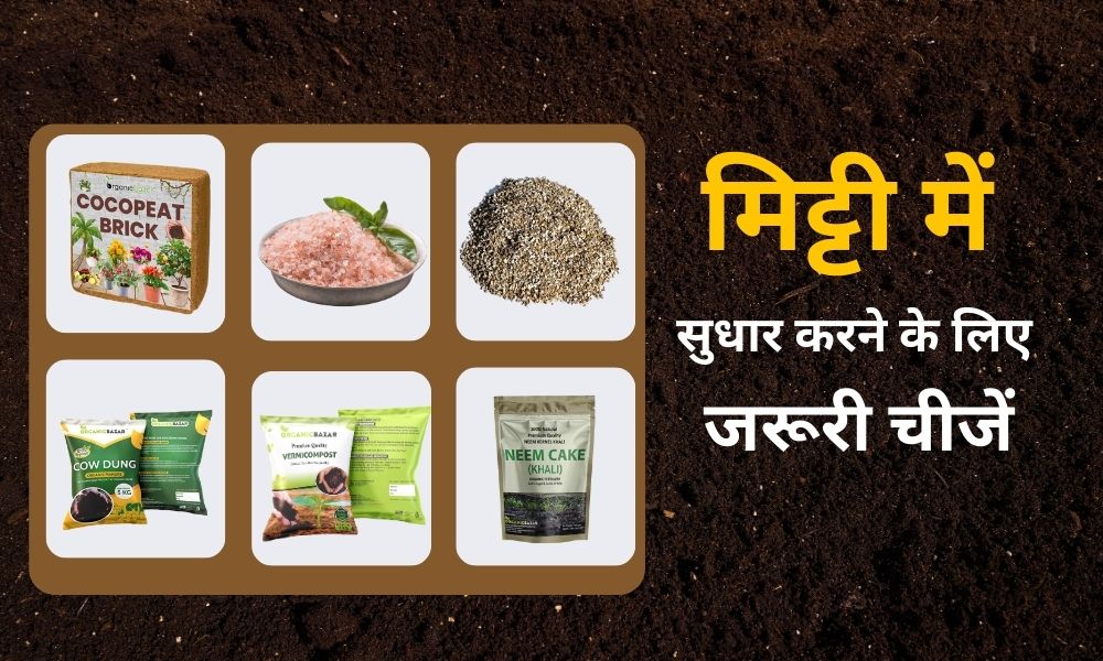 मिट्टी में सुधार करने के लिए मिलाएं यह चीजें Best Soil Amendments For