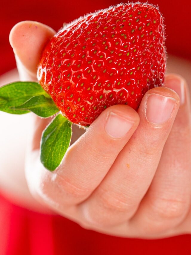 How To Grow Tasty Strawberries From Seeds In Pots? Organicbazar Blog