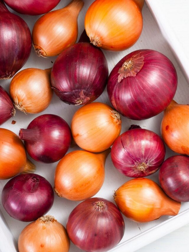 A Beginner's Guide to Growing Onions at Home! Organicbazar Blog