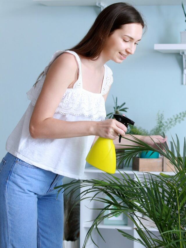 Essential Tips for Fertilizing Houseplants! - Organicbazar Blog