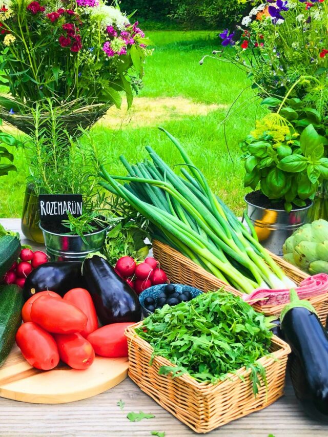 100 Common Vegetable Names to Learn in English visual data 4