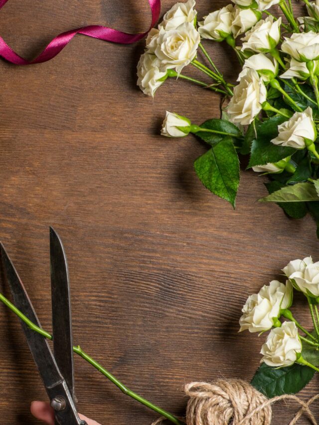 How to Grow Roses from Cuttings of Your Favorite Varieties