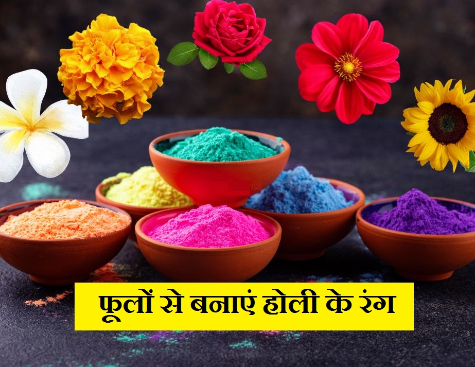 होली का रंग बनाने वाले फूल कौन से है – Best Flowers For Holi To Make ...